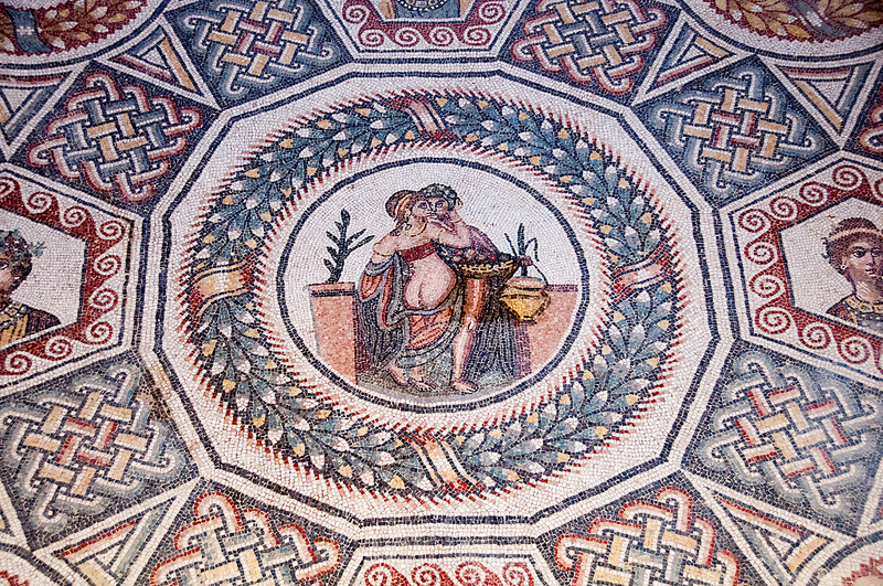 ヴィッラ・ロマーナ・デル・カサーレの画像4