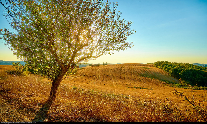 オルチア渓谷の画像10