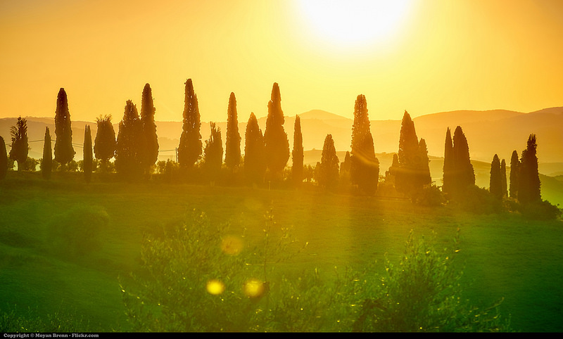 オルチア渓谷の画像16