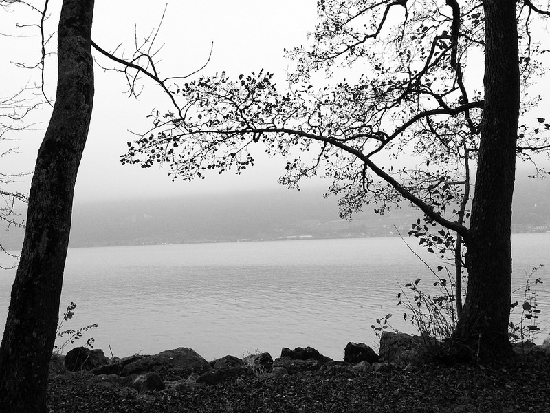 アルプス山系の先史時代杭上住居跡群の画像3