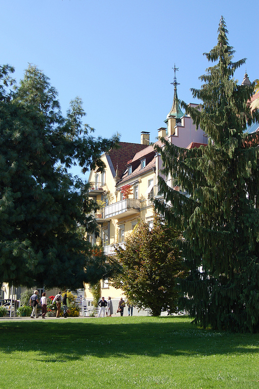 アルプス山系の先史時代杭上住居跡群の画像11