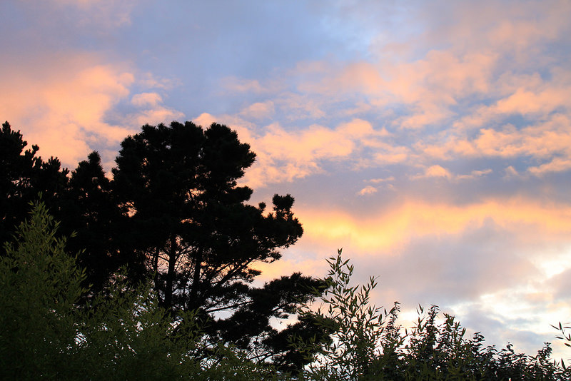 Les Roseauxの画像6