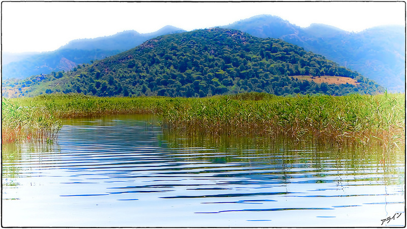 Les Roseauxの画像8