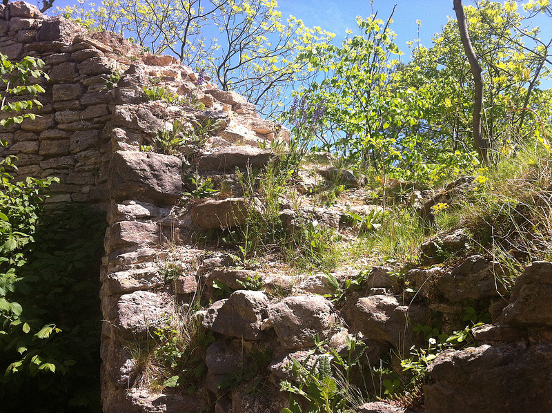 Ehrensteinの画像6