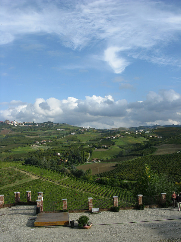 ピエモンテの葡萄畑景観：ランゲ・ロエロ・モンフェッラートの画像5