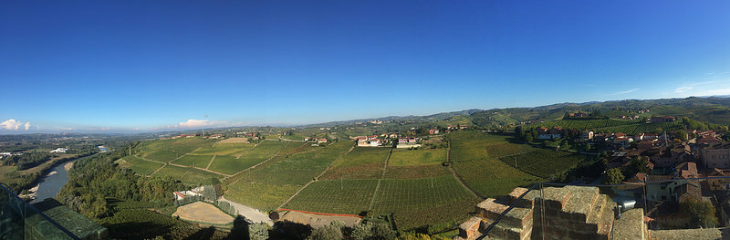 Hills of Barbarescoの画像1