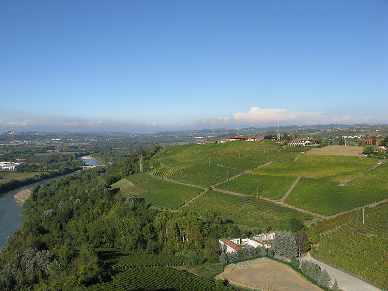 Hills of Barbarescoの画像3