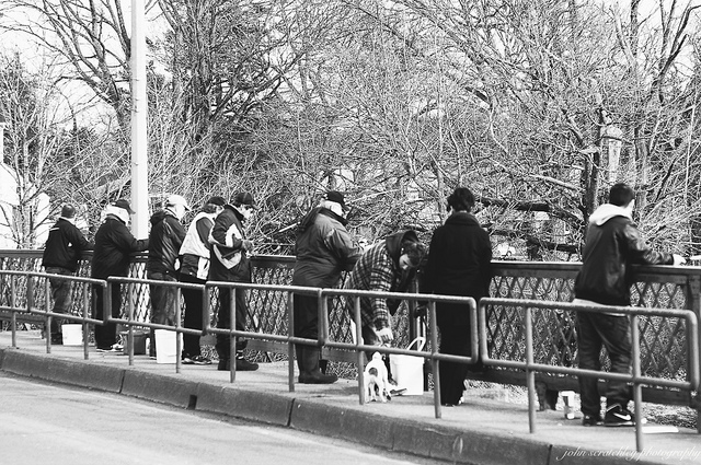 アンミラリオ橋の画像6