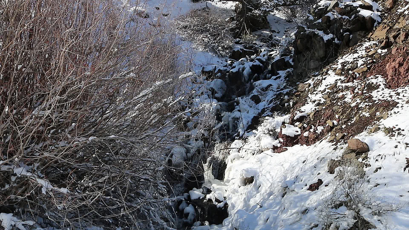 南イラクのアフワール：生物の避難所と古代メソポタミア都市景観の残影の画像5
