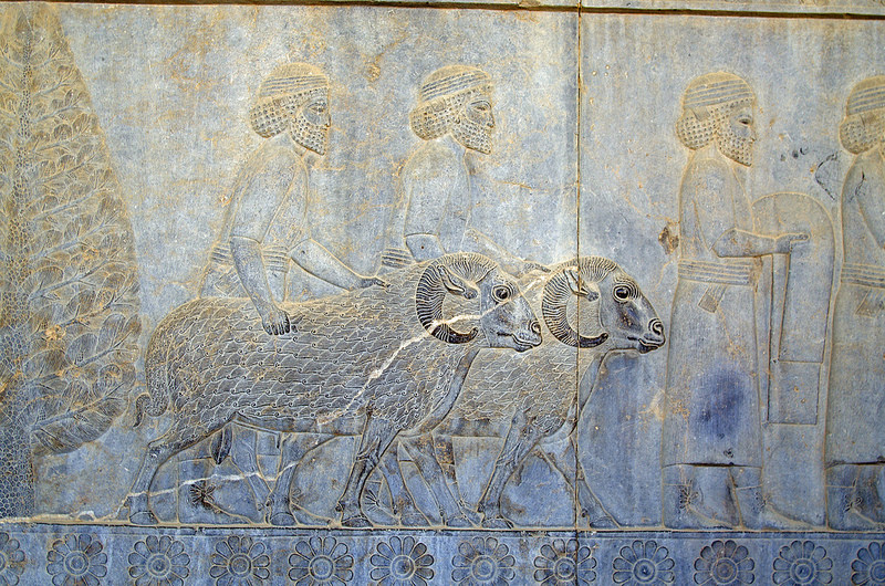 ペルセポリスの画像24