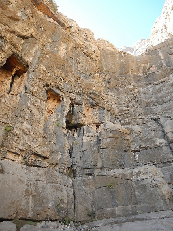 ビソトゥーンの画像5