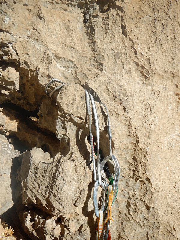 ビソトゥーンの画像17