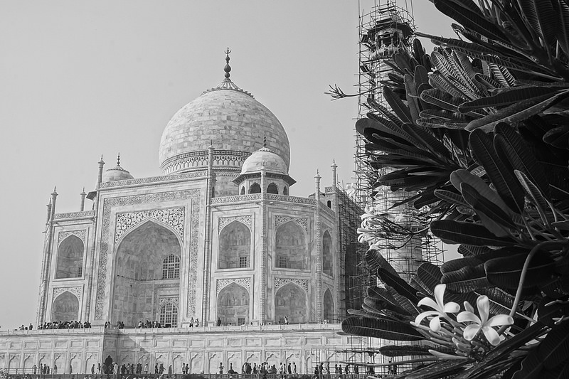 ペルシャ庭園の画像10