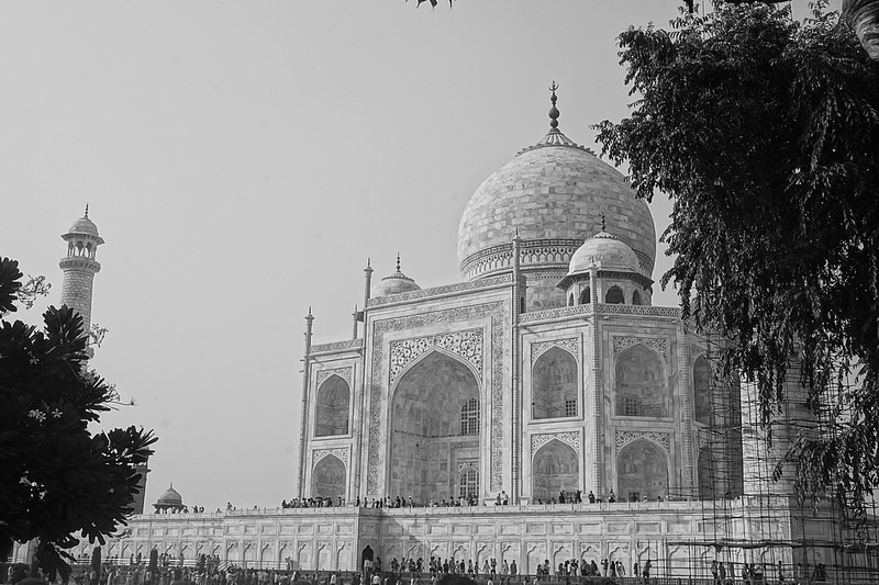 ペルシャ庭園の画像12