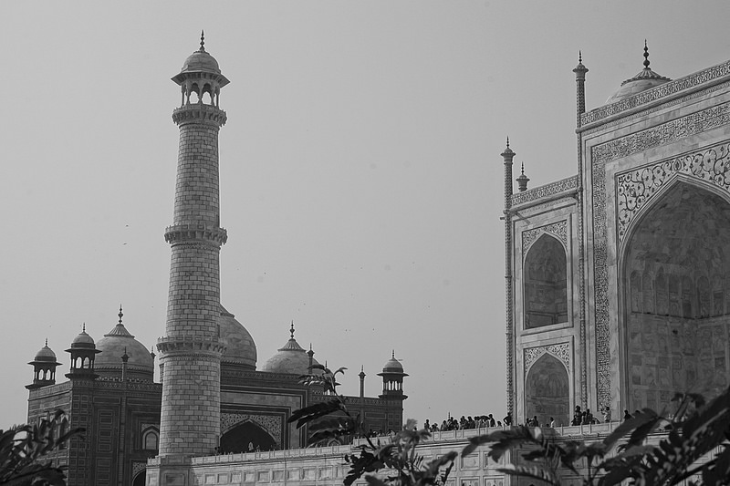 ペルシャ庭園の画像14