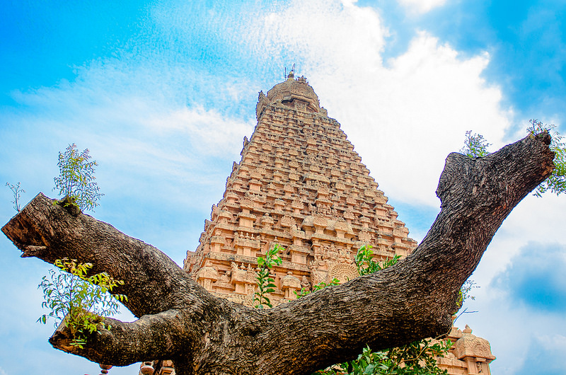 大チョーラ朝寺院群の画像3
