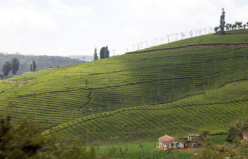 インドの山岳鉄道群の画像12