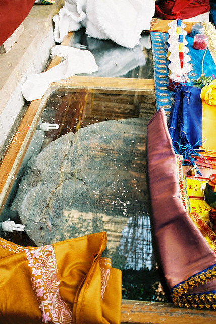 ブッダガヤの大菩提寺の画像16