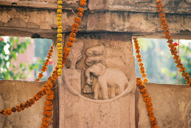 ブッダガヤの大菩提寺の画像18