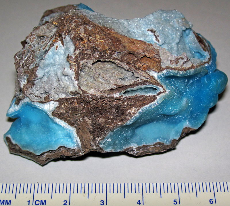 Larger groupの画像7