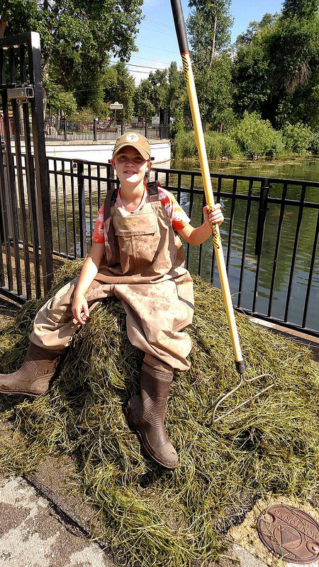 Smaller groupの画像5