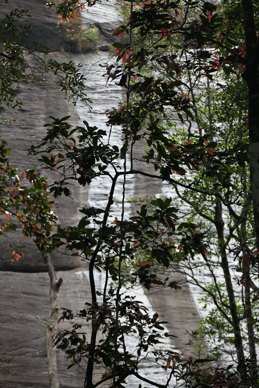 西ガーツ山脈の画像22