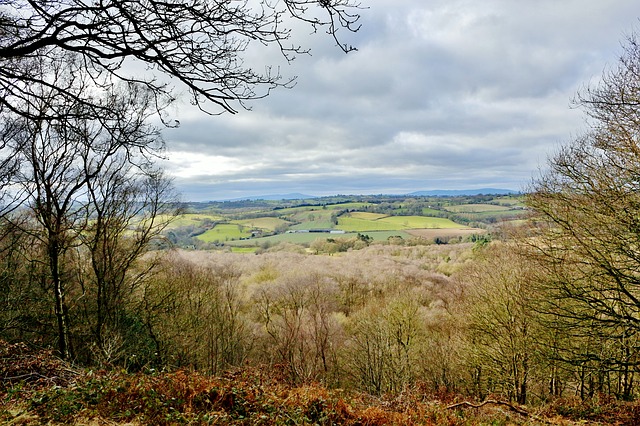 Grass Hills National Parkの画像7