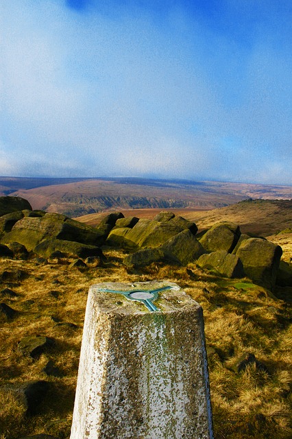 Grass Hills National Parkの画像8