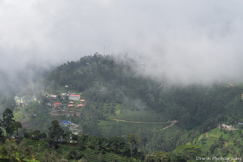 Chinnar Wildlife Sanctuaryの画像7