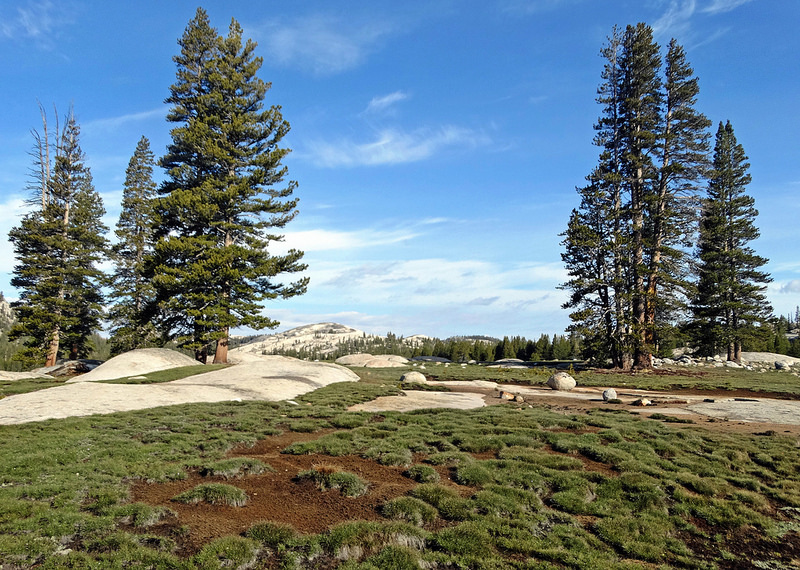 Silent Valley National Parkの画像1