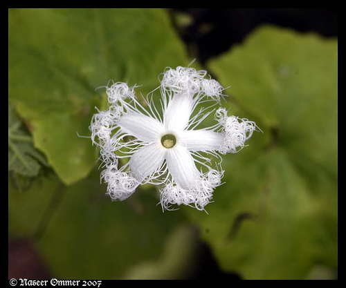 Silent Valley National Parkの画像5