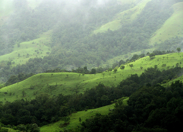 Kudremukh National Parkの画像2