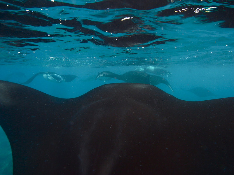 コモド国立公園の画像6