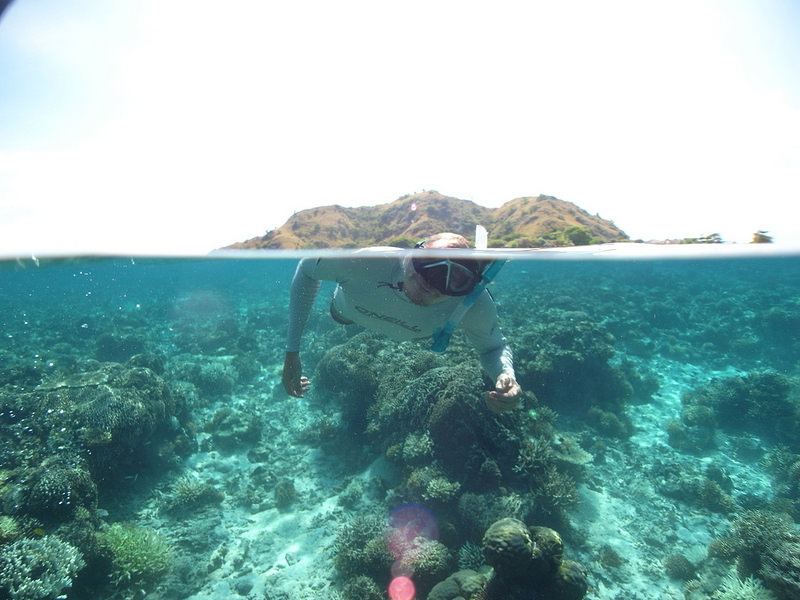 コモド国立公園の画像11