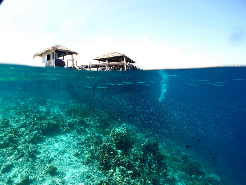 コモド国立公園の画像13