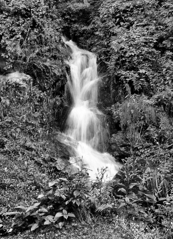 Chornohoraの画像2