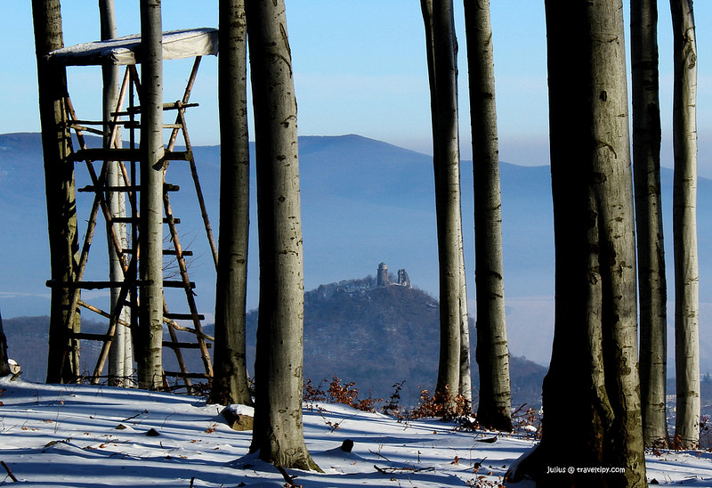 カルパチア山地と他ヨーロッパのブナ原生林の画像20