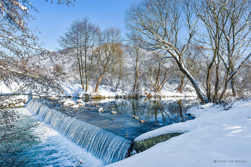 カルパチア山地と他ヨーロッパのブナ原生林の画像23