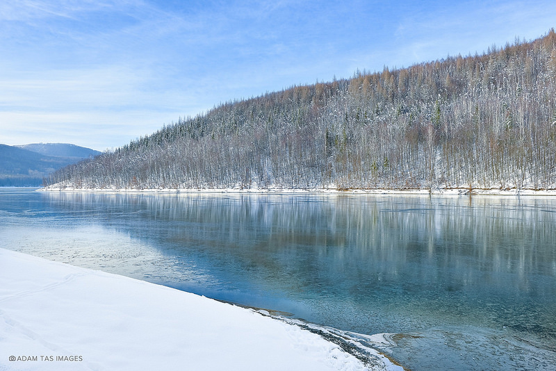 カルパチア山地と他ヨーロッパのブナ原生林の画像24