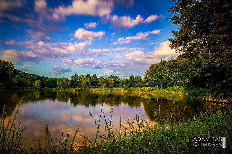 カルパチア山地と他ヨーロッパのブナ原生林の画像28