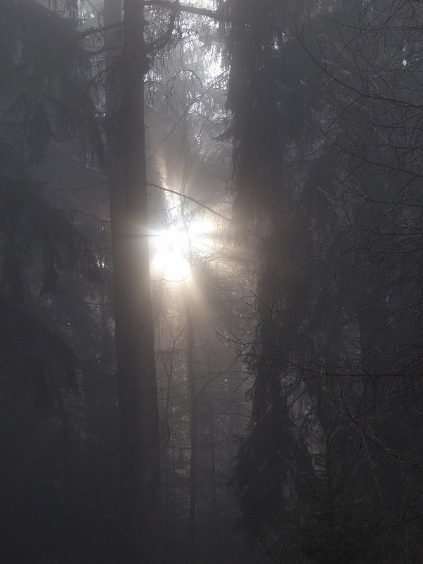 Kellerwaldの画像4