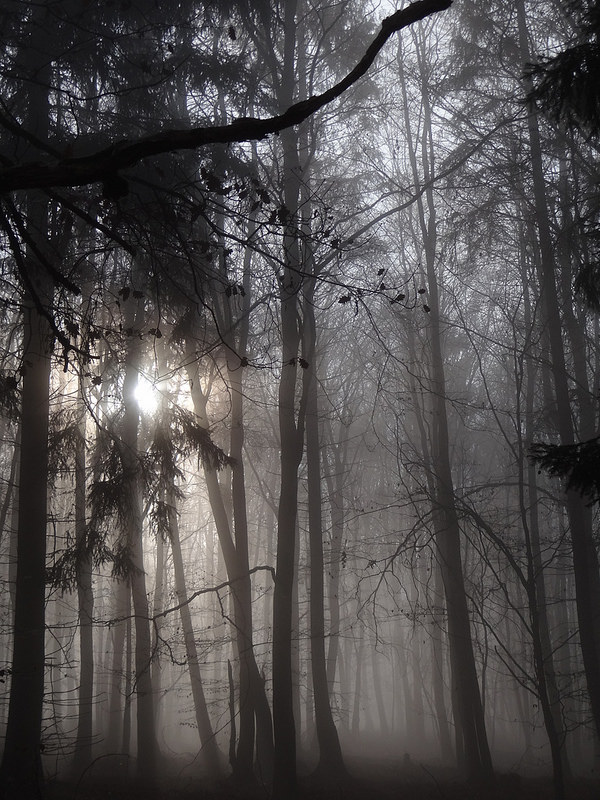 Kellerwaldの画像5