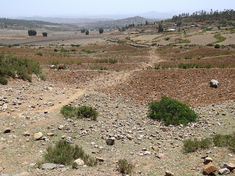 アクスムの画像9