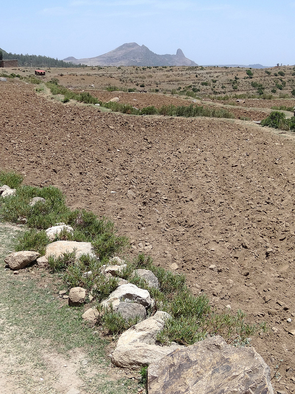 アクスムの画像11