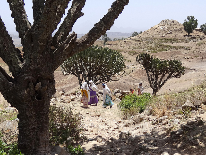 アクスムの画像18