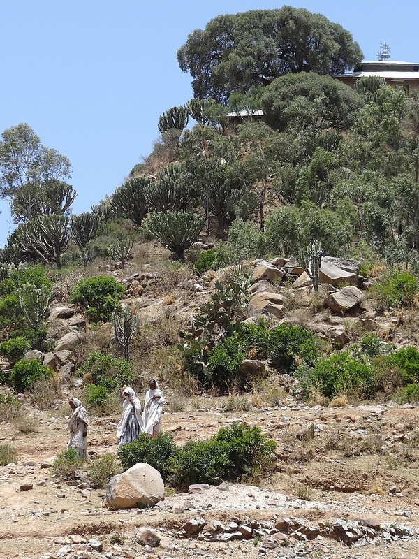 アクスムの画像19