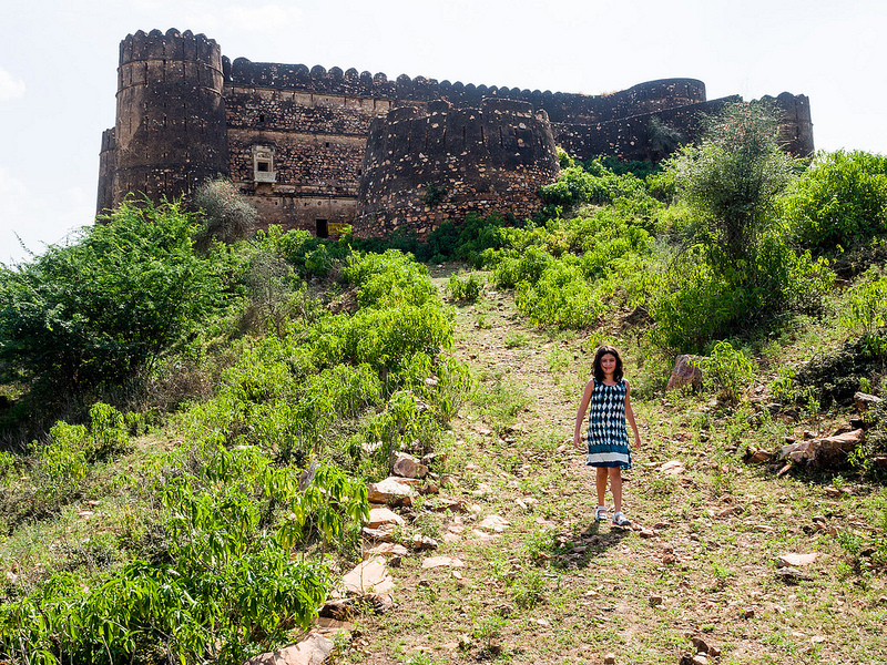 ティヤの石碑群の画像5