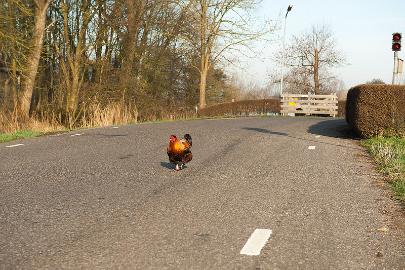 Fort Uitermeer
                  Weesp (NH),                  Netherlandsの画像3