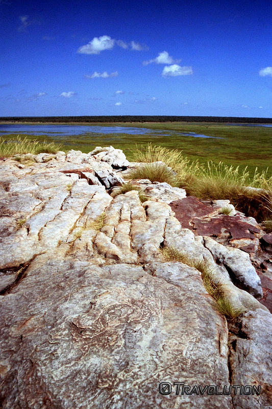 カカドゥ国立公園の画像11