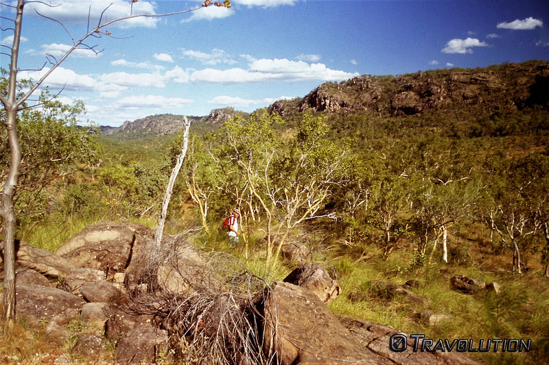 カカドゥ国立公園の画像14